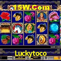 Luckytoco Brasília - Jogo Features